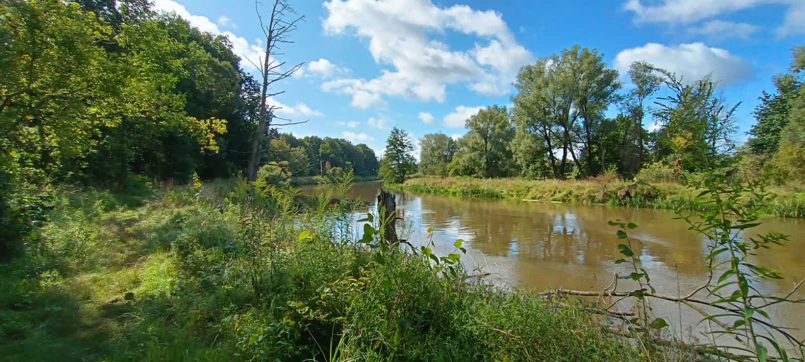 Szprotawski grąd będzie kolejnym parkiem