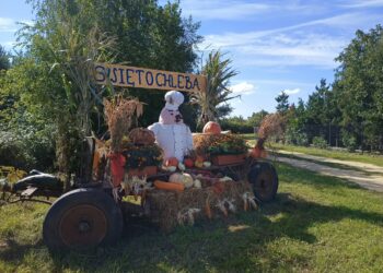 Przewóz zaprasza na polsko-niemieckie dożynki 13 fot. K.Gonera