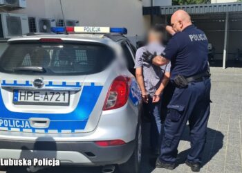 Areszt dla kierowcy, który po pijanemu potrącił 6-latka 12 Areszt dla kierowcy, który po pijanemu potrącił 6-latka Radio Zachód - Lubuskie