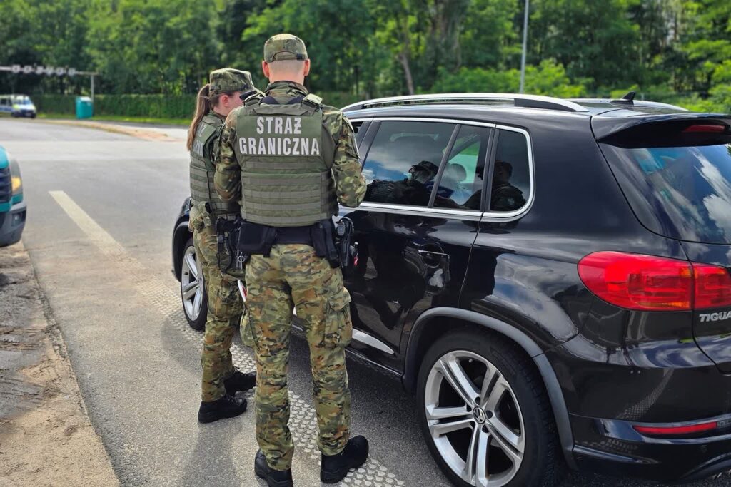 materiały prasowe NOSG