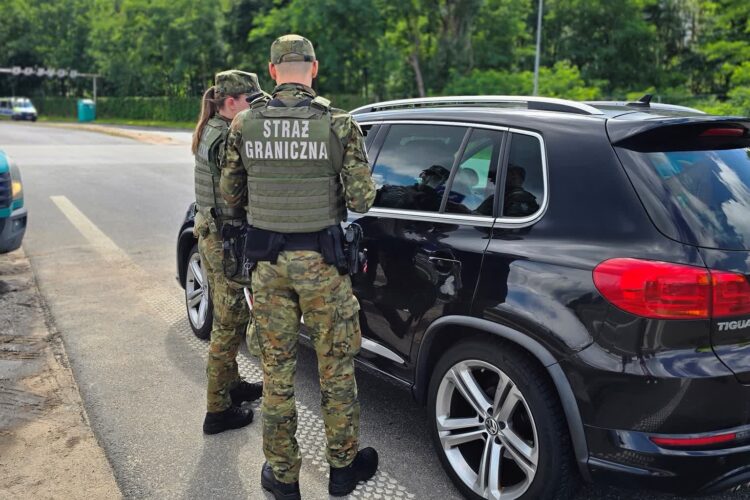 materiały prasowe NOSG