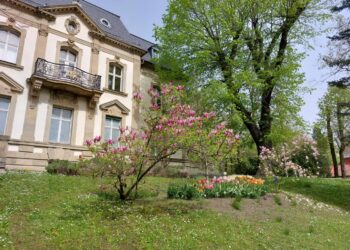 Przeżyjmy to jeszcze raz. J.Malczewski w gorzowskim muzeum. Radio Zachód - Lubuskie
