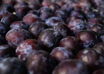 Śliwka węgierka nie tylko do mięs Radio Zachód - Lubuskie