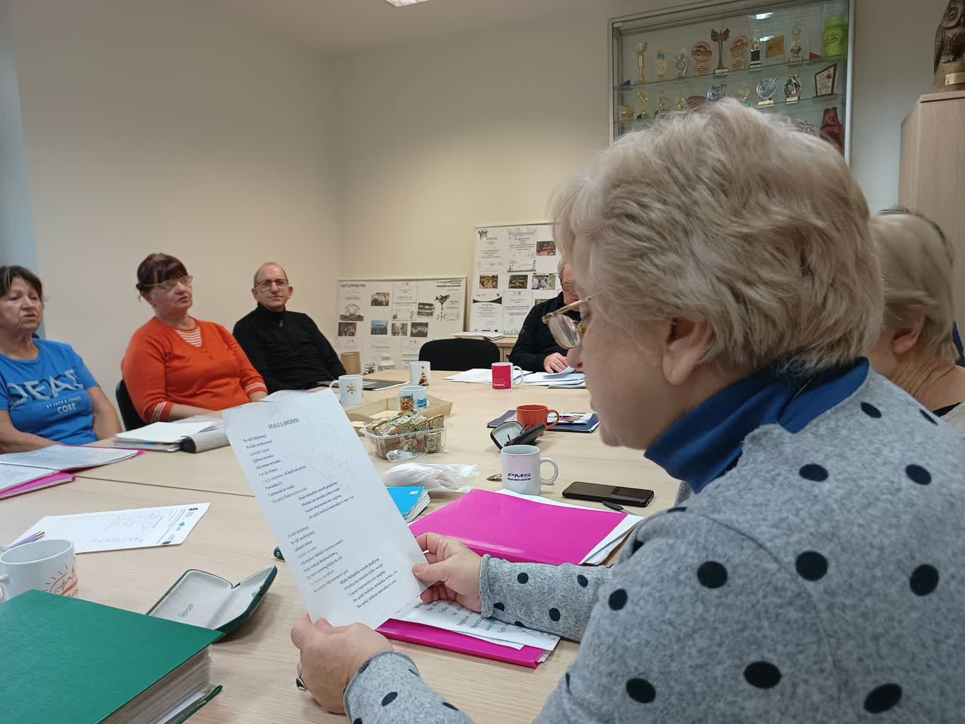 Przegląd artystyczny grup senioralnych w Gozdnicy