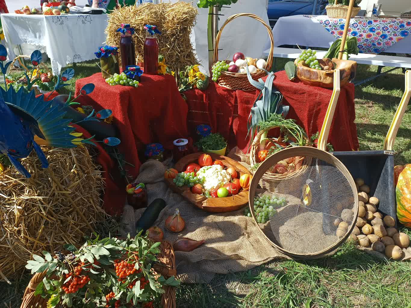 Jasień zaprasza na sobotnie święto plonów