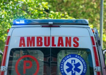 Zdjęcie ilustracyjne. Fot. Pixabay