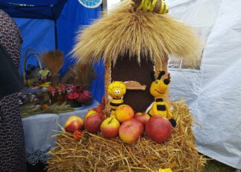 Lubsko zaprasza na gminne dożynki do Górzyna 17 fot. K.Gonera