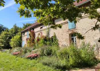 Wskrzeszają historię pałacu w Lipnej cegła po cegle 12 fot. K.Gonera