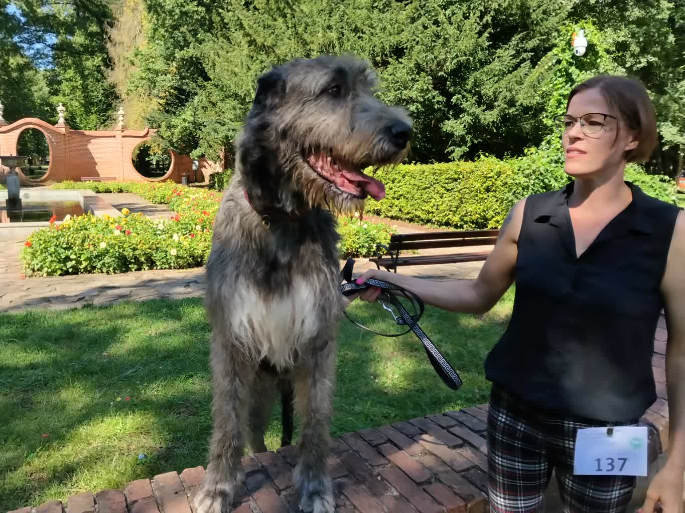 Krajowa Wystawa Psów Myśliwskich w Iłowej [ZDJĘCIA]