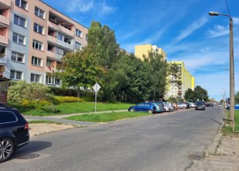 Minibusy na osiedlach. Rusza pilotażowy projekt Radio Zachód - Lubuskie