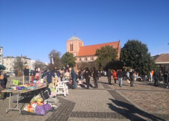 Pchli targ w Strzelcach Krajeńskich Radio Zachód - Lubuskie