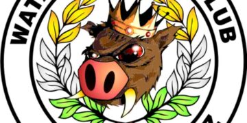 Bolesna inauguracja Watahy u faworyta Radio Zachód - Lubuskie