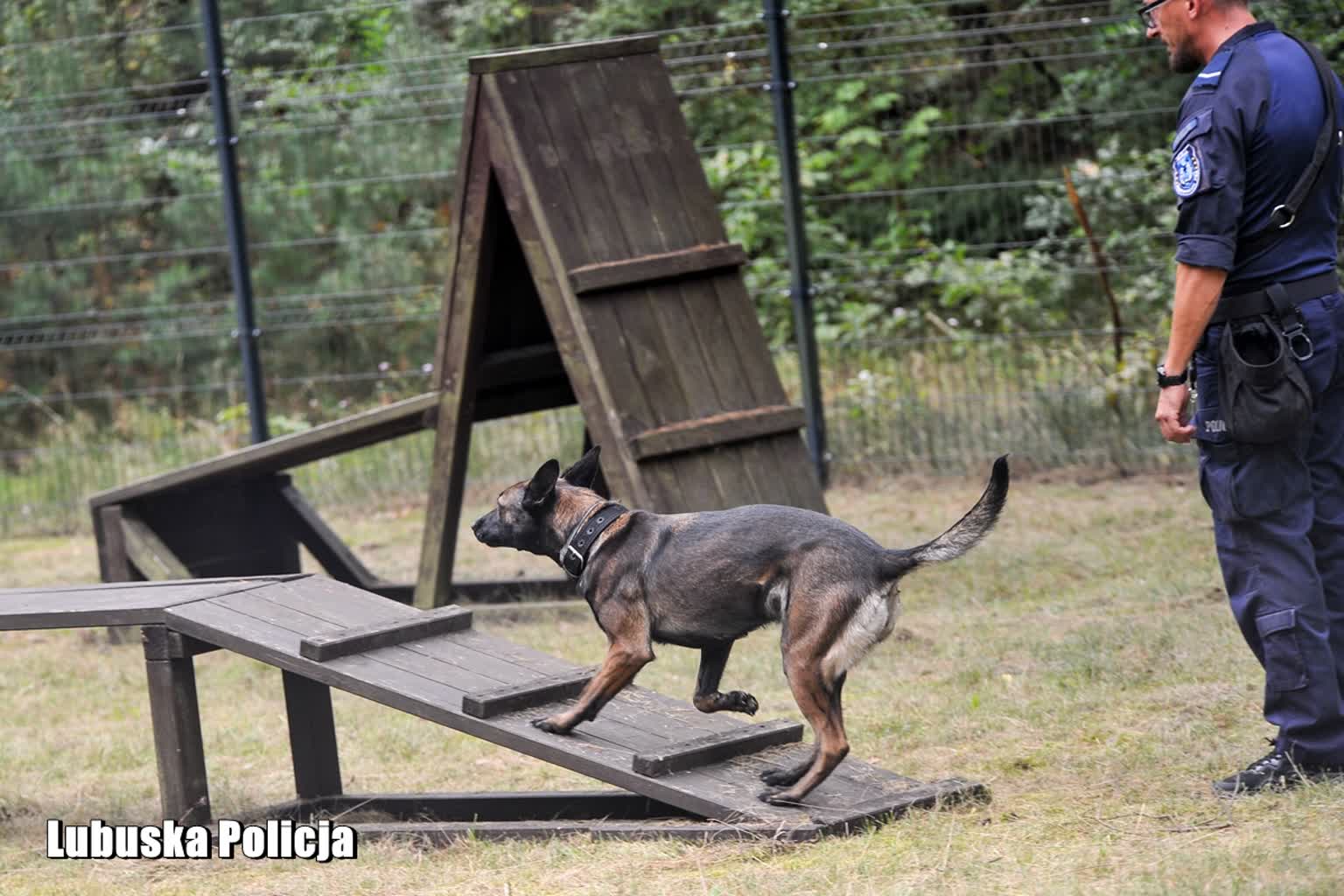 Pijany urządził sobie driftowanie na parkingu