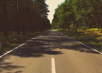 Zdjęcie ilustracyjne. Fot. Pixabay