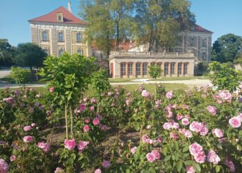 Ruszył przetarg na remont pałacowej oranżerii w Żaganiu 13 fot. K.Gonera