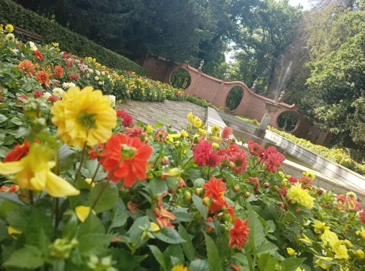 Koncert plenerowy w Parku Dworskim w Iłowej 9 fot. K.Gonera