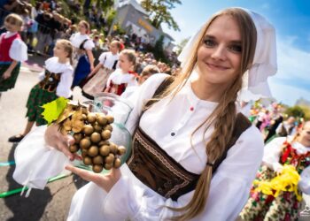 Na Winobraniu w samorządowej winnicy w Zaborze będzie się działo! 17 Fot. Urząd Miasta Zielona Góra