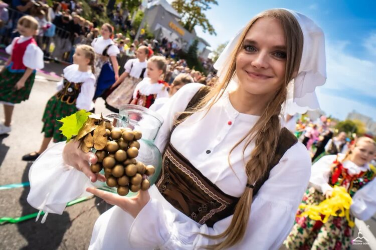 Na Winobraniu w samorządowej winnicy w Zaborze będzie się działo! 9 Fot. Urząd Miasta Zielona Góra