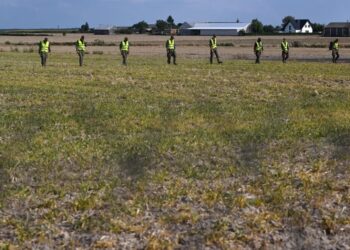 Wojska Obrony Terytorialnej w miejscu upadku rosyjskiego drona w miejscowości Wohyń Fot. PAP/Wojtek Jargiło