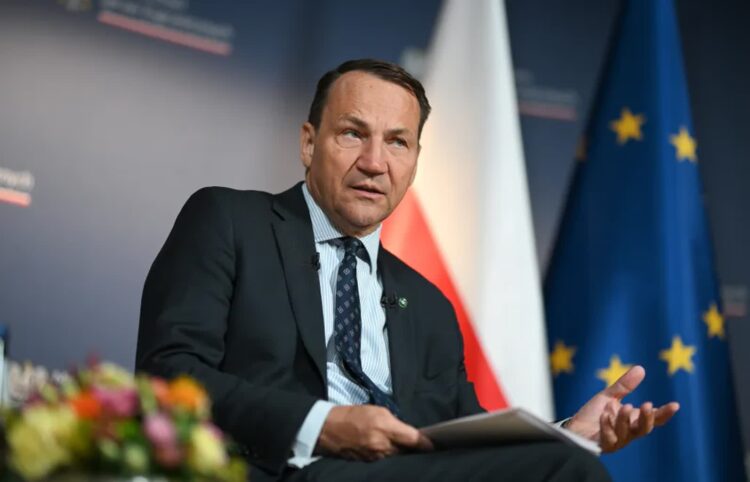 Wicepremier i szef MSZ Radosław Sikorski. Fot. PAP/ Marcin Obara