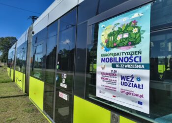 Gra miejska, piknik w zajezdni i darmowe przejazdy Radio Zachód - Lubuskie