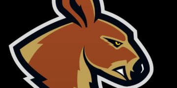 Po pokonaniu Twierdzy, Kangoo chcą pogonić Pogoń Radio Zachód - Lubuskie