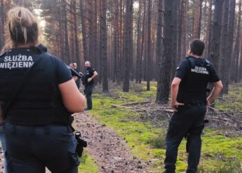 Zdjęcie ilustracyjne. Fot. Zakład Karny w Krzywańcu/FB