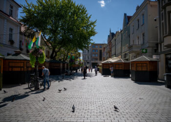 Przy ratuszu wystartowało Miasteczko Winiarskie Radio Zachód - Lubuskie