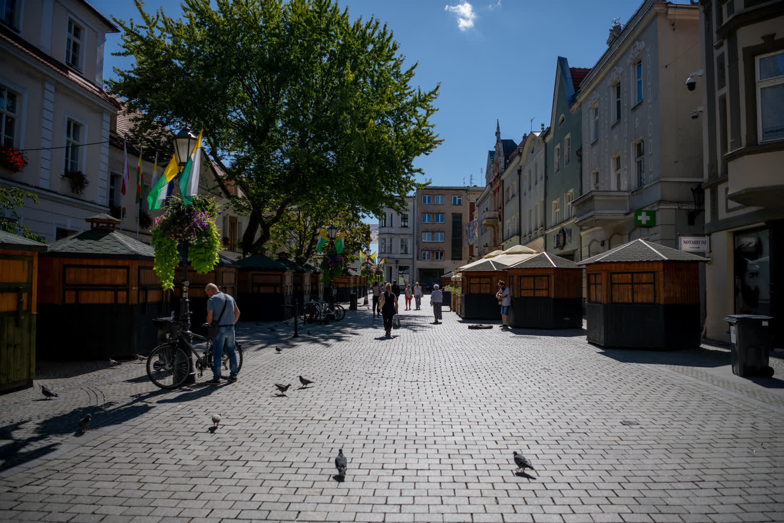 Przy ratuszu wystartowało Miasteczko Winiarskie Radio Zachód - Lubuskie