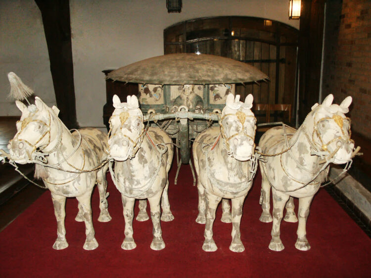 „Na przestrzeni wieków”- posłuchaj reportażu Izabeli Patek Radio Zachód - Lubuskie