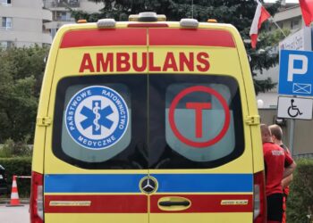 Karetka pogotowia Fot. PAP/Albert Zawada