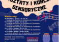 Koncerty i warsztaty sensoryczne w Świebodzinie 11 Grafika ze zbiorów fundacji