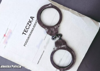 Akcja „Poszukiwany” – policjanci zatrzymali 10 osób 17 Akcja „Poszukiwany” – policjanci zatrzymali 10 osób Radio Zachód - Lubuskie