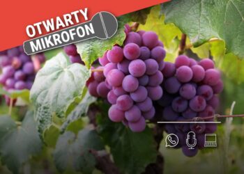 Czy wybieracie się Państwo na tegoroczne Winobranie? Czy tego typu imprezy to dobra promocja naszego regionu? Radio Zachód - Lubuskie