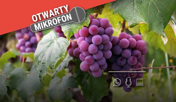 Czy wybieracie się Państwo na tegoroczne Winobranie? Czy tego typu imprezy to dobra promocja naszego regionu? Radio Zachód - Lubuskie