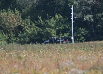 Okolice miejsca upadku niezidentyfikowanego obiektu latającego w polu kukurydzy w miejscowości Polatycze w okolicach przejścia granicznego z Białorusią pod Terespolem Fot.PAP/Wojtek Jargiło