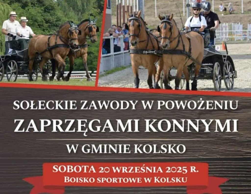 W sobotę Sołeckie Zawody w Powożeniu Zaprzęgami Konnymi 1 W sobotę Sołeckie Zawody w Powożeniu Zaprzęgami Konnymi Radio Zachód - Lubuskie