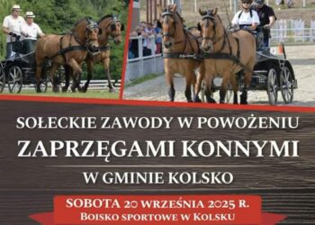 W sobotę Sołeckie Zawody w Powożeniu Zaprzęgami Konnymi Radio Zachód - Lubuskie