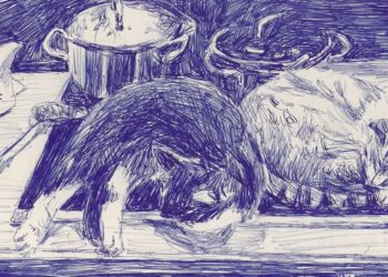 Prace Agaty Siwek w MZL Radio Zachód - Lubuskie