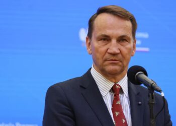 Radosław Sikorski. Fot. PAP/ Albert Zawada