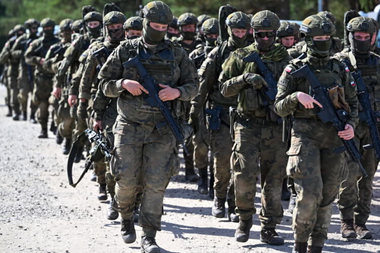 Wojsko Polskie podczas ćwiczeń na poligonie w Nowej Dębie (PAP/Darek Delmanowicz)