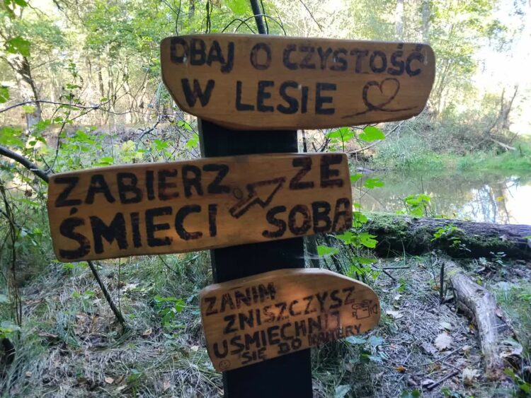 Żagańska akcja sprzątania lasu Radio Zachód - Lubuskie