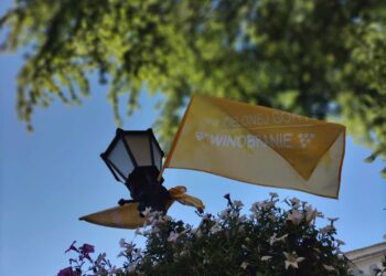 Winobraniowa logistyka i zmiany w śródmieściu Radio Zachód - Lubuskie