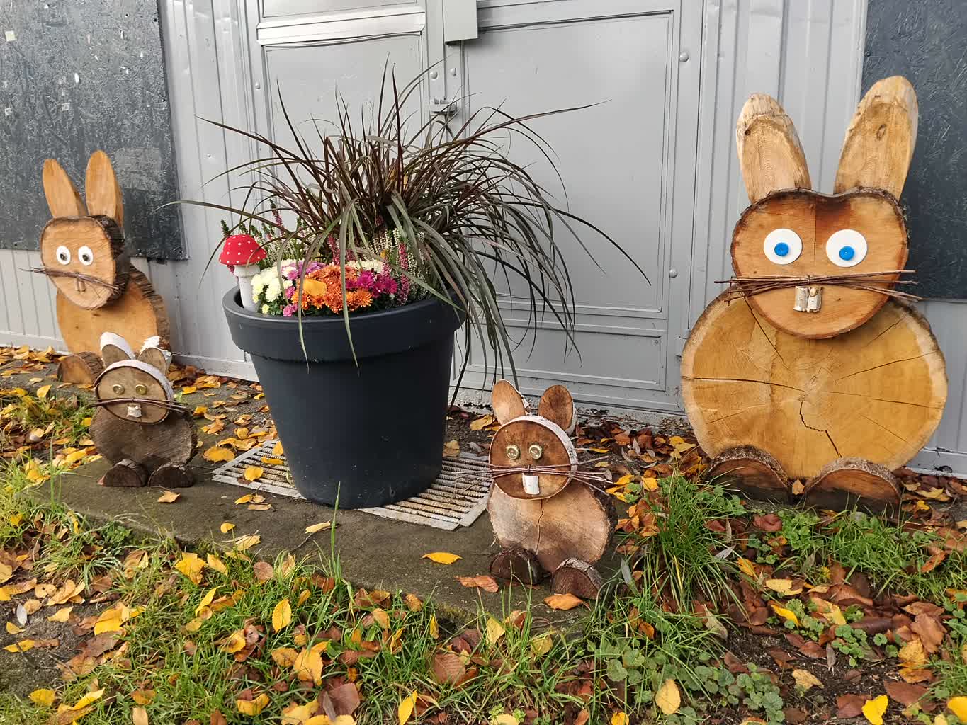 Zajączek walczy o miano na najpiękniejszą wieś w województwie