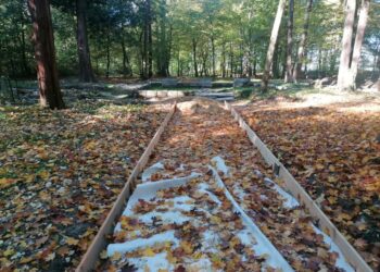 Trwa renowacja arboretum w Nietkowie Radio Zachód - Lubuskie