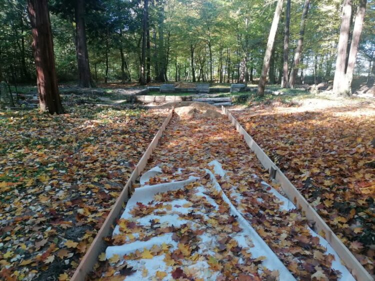 Trwa renowacja arboretum w Nietkowie Radio Zachód - Lubuskie