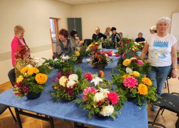 Warsztaty dla seniorów