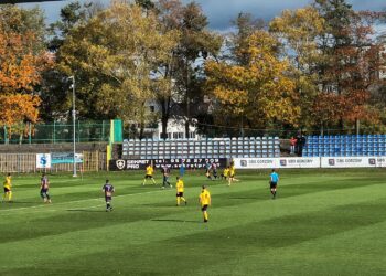 Domowa zwycięska passa Warty trwa, Stal zepchnięta na ostatnie miejsce Radio Zachód - Lubuskie