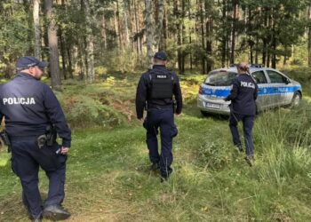 Policja przypomina o bezpieczeństwie podczas wypraw na grzyby 14 fot. KPP Żagań