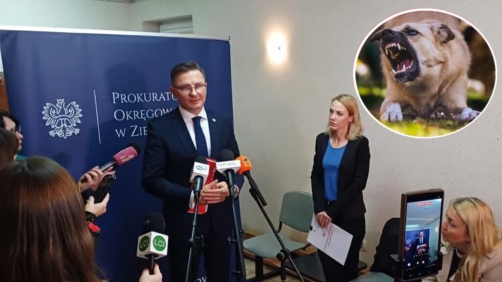 Pogryzienie przez psy w Raculi. Co robi prokuratura? Radio Zachód - Lubuskie